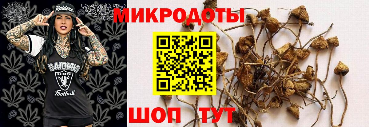 Галлюциногенные грибы Psilocybine cubensis  Вход с VPN  Новоалександровск  Галлюциногенные грибы прущие грибы 